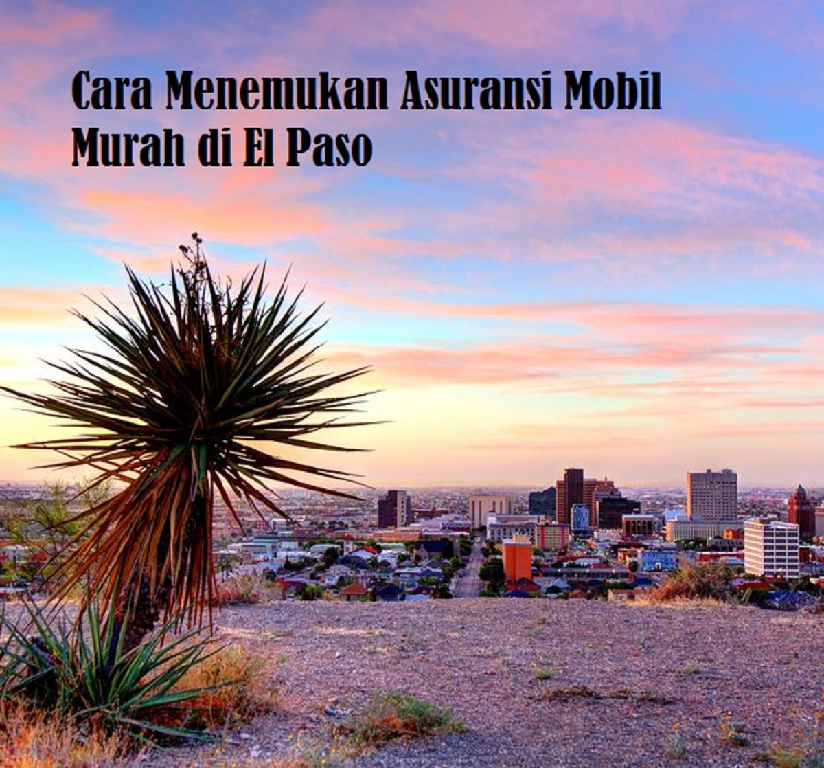 Cara Menemukan Asuransi Mobil Murah di El Paso